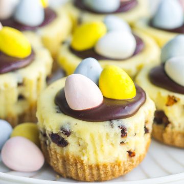 Easter Chocolate Chip Cheesecake Bites