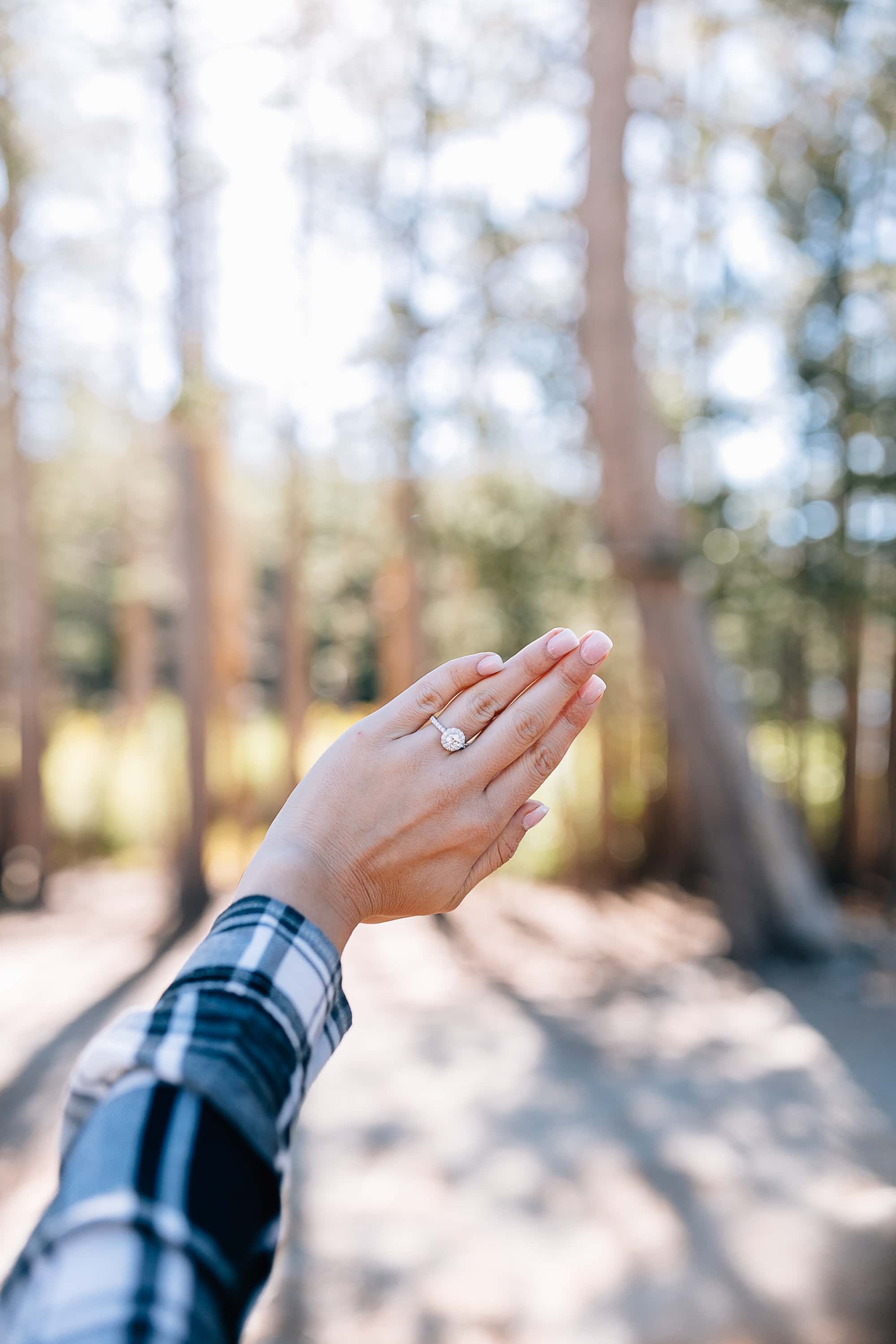 Fairy-tale Engagement