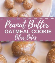 Peanut Butter Oatmeal Cookie Bliss Bites