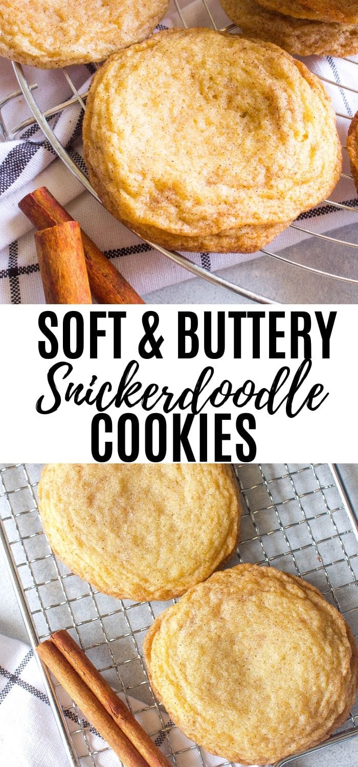 Secrets from the Cookie Princess: Snickerdoodle Mini Scones