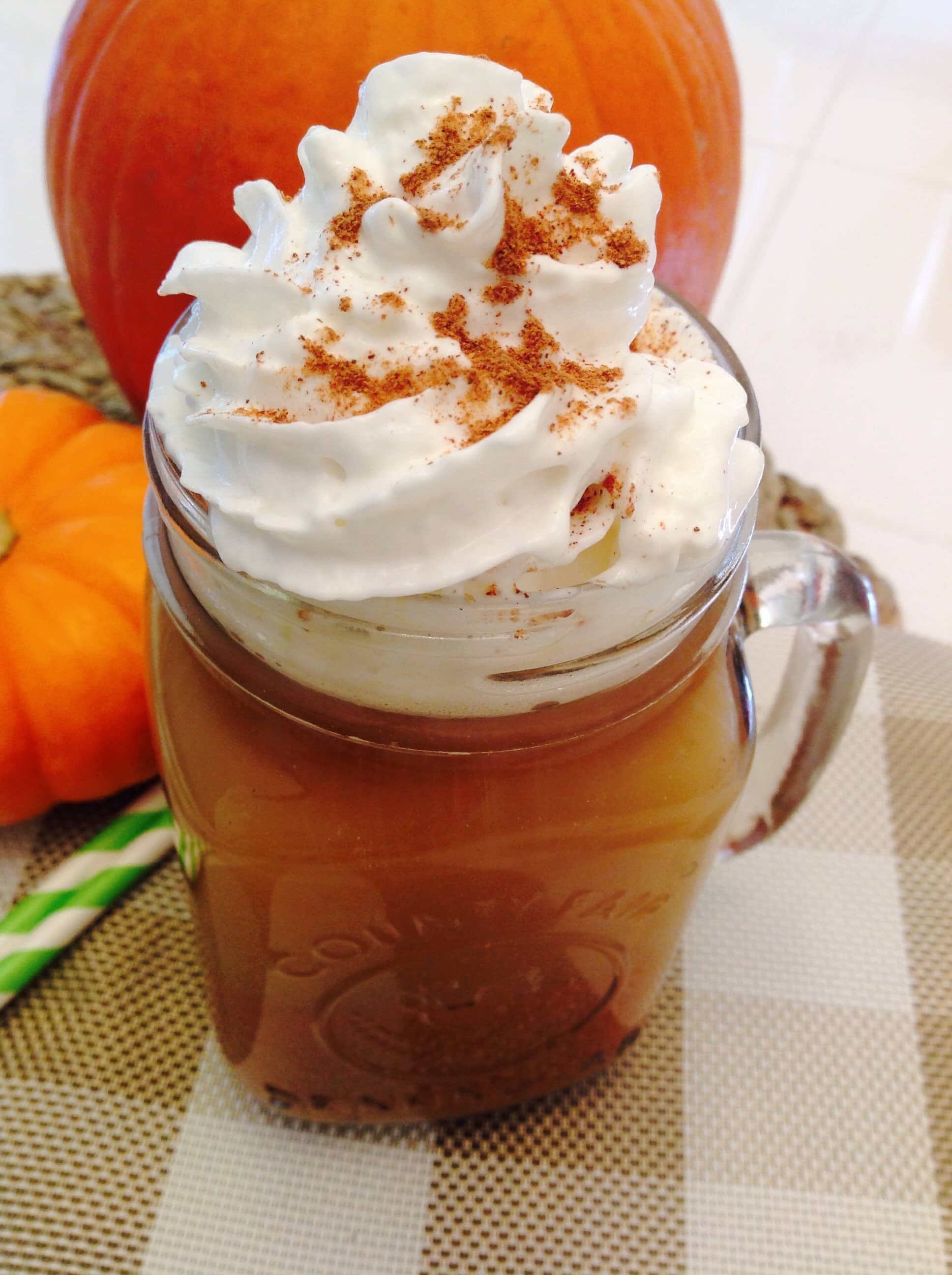 10+ Easy and Healthy Pumpkin and Fall Recipes/ Skinny Pumpkin Spice Latte