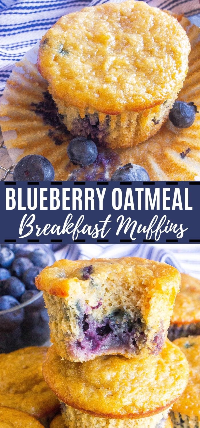 Blueberry Oatmeal Breakfast Muffins - Kathryn's Kitchen