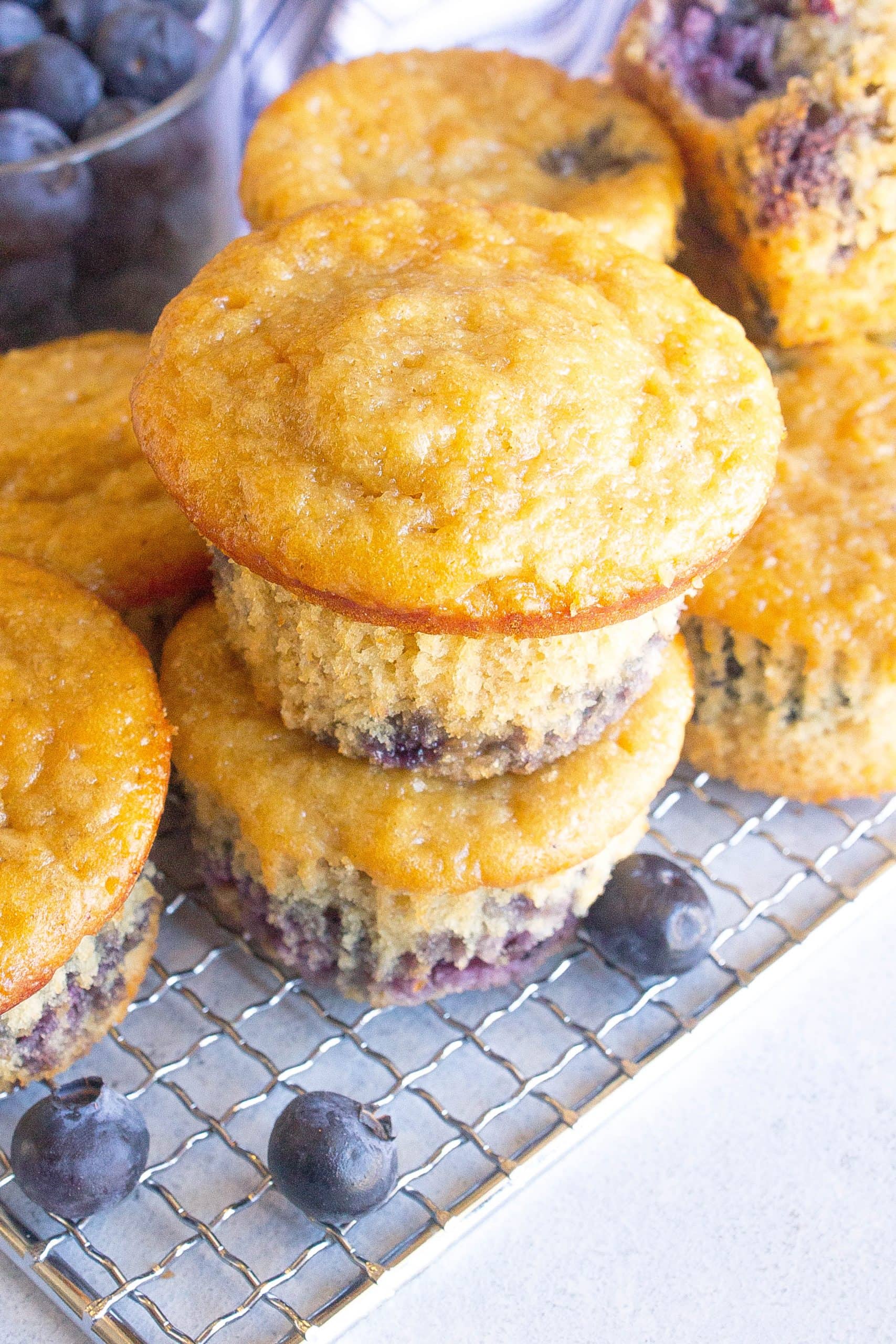 Blueberry Oatmeal Breakfast Muffins