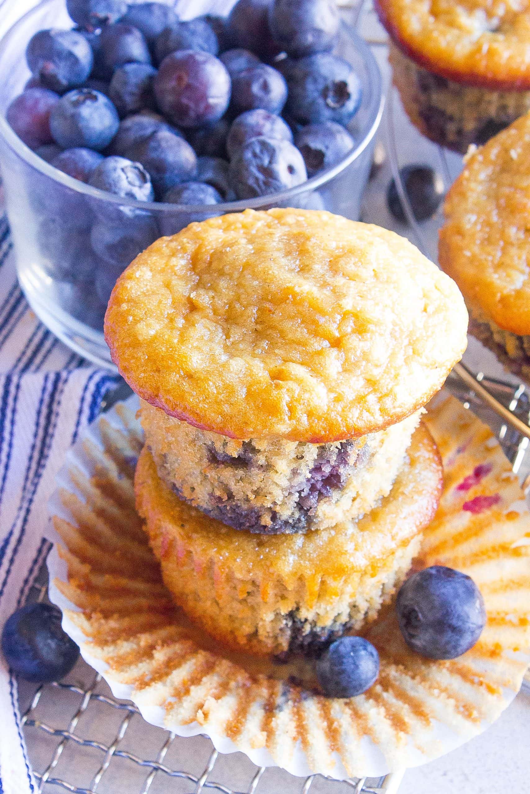 Blueberry Oatmeal Breakfast Muffins