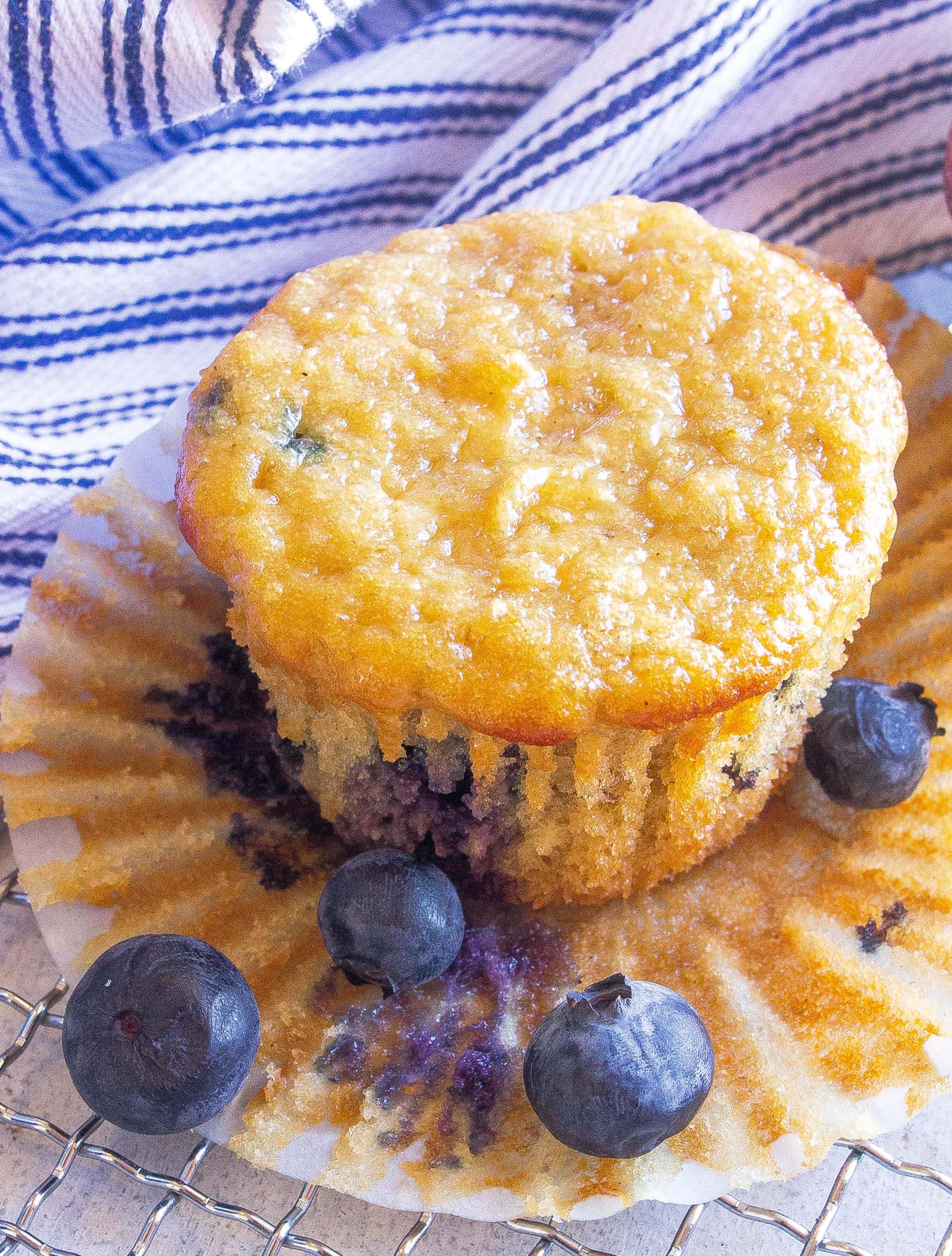 Blueberry Oatmeal Breakfast Muffins