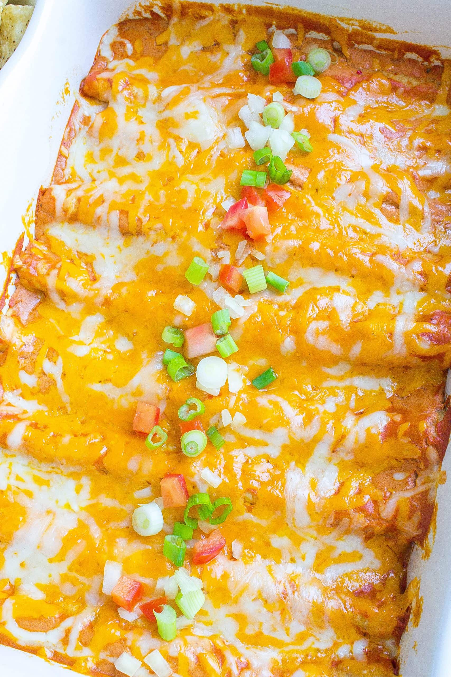 Closeup of Cheese Enchilada recipe with diced tomatoes and onions on top.