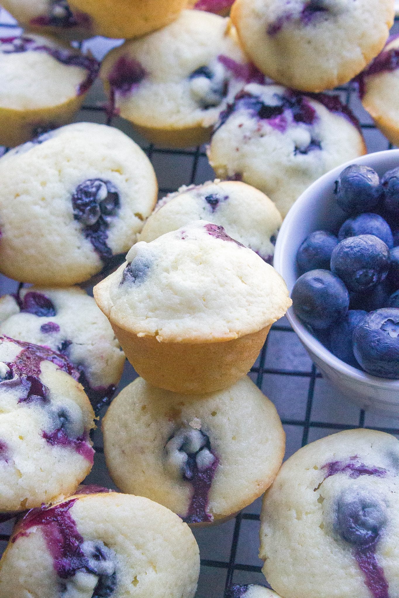 Mini Blueberry Lemon Muffins - Kathryn's Kitchen