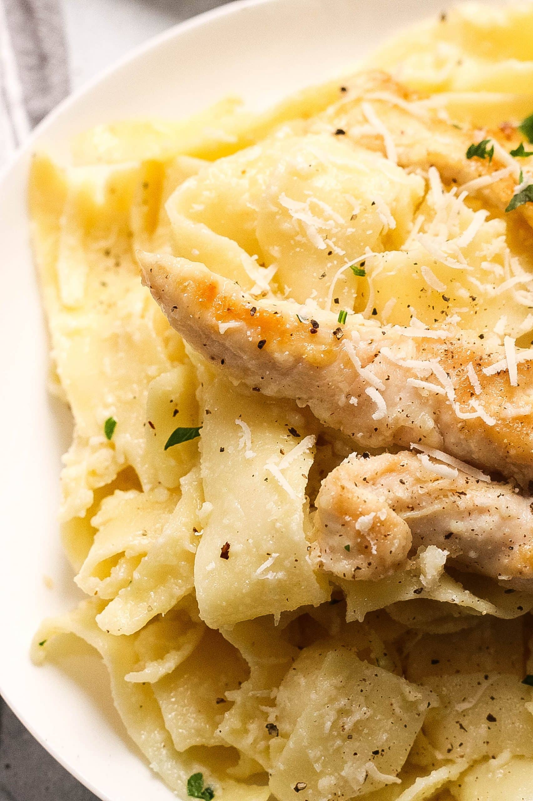 Creamy Chicken Alfredo Pappardelle