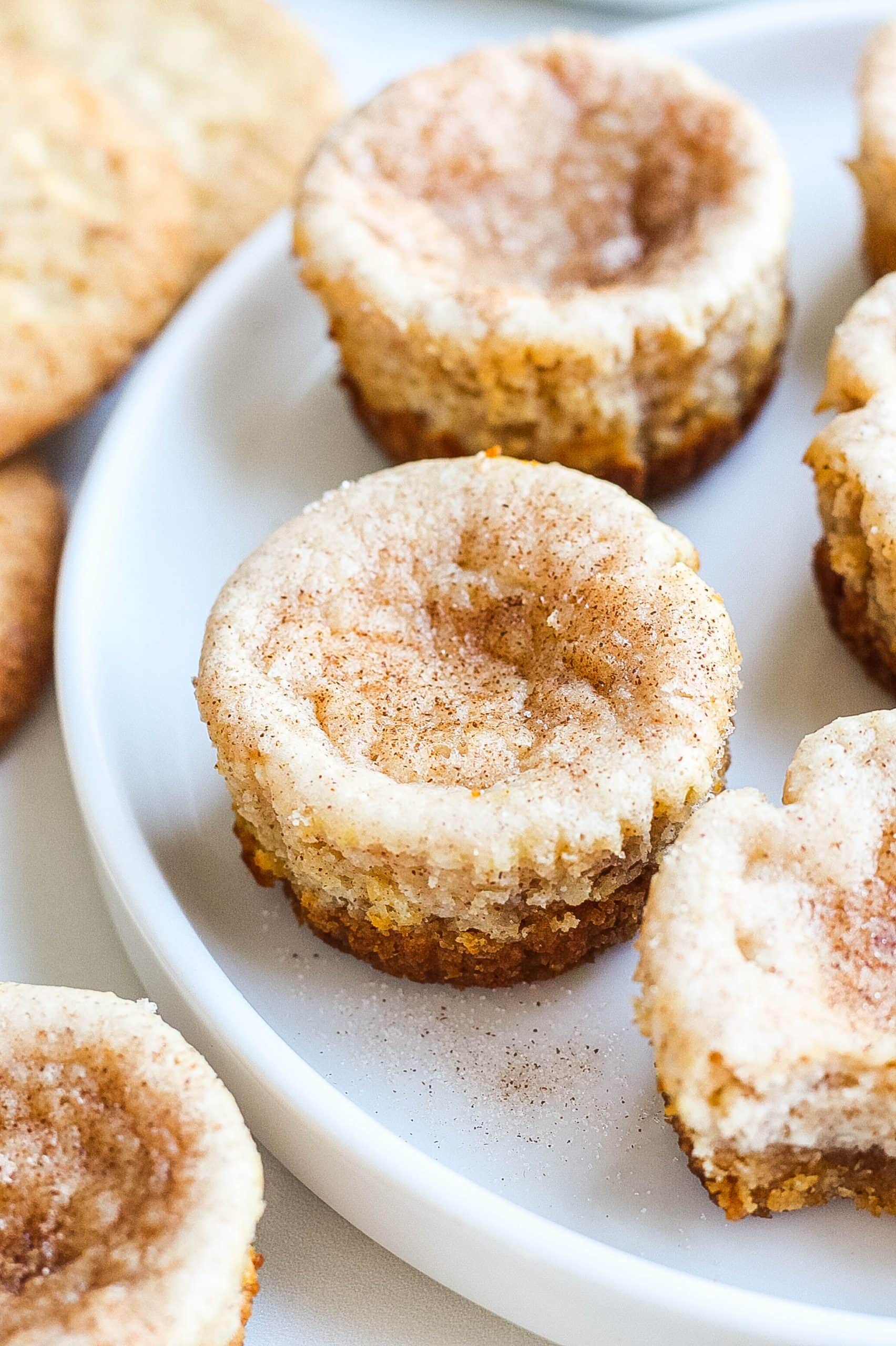 one plate of snickerdoodle cheesecakes with cinnamon and sugar
