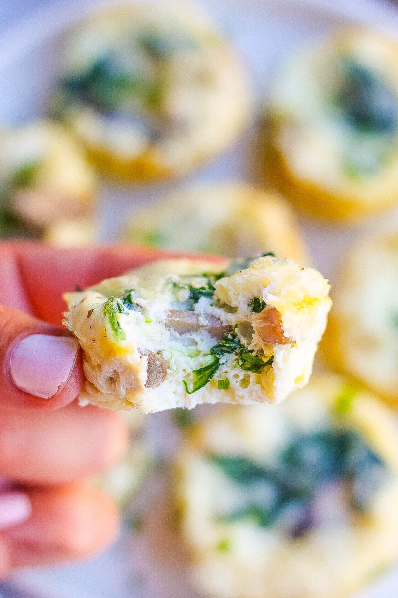 Egg White Bites Recipe Mushroom And Spinach 6196