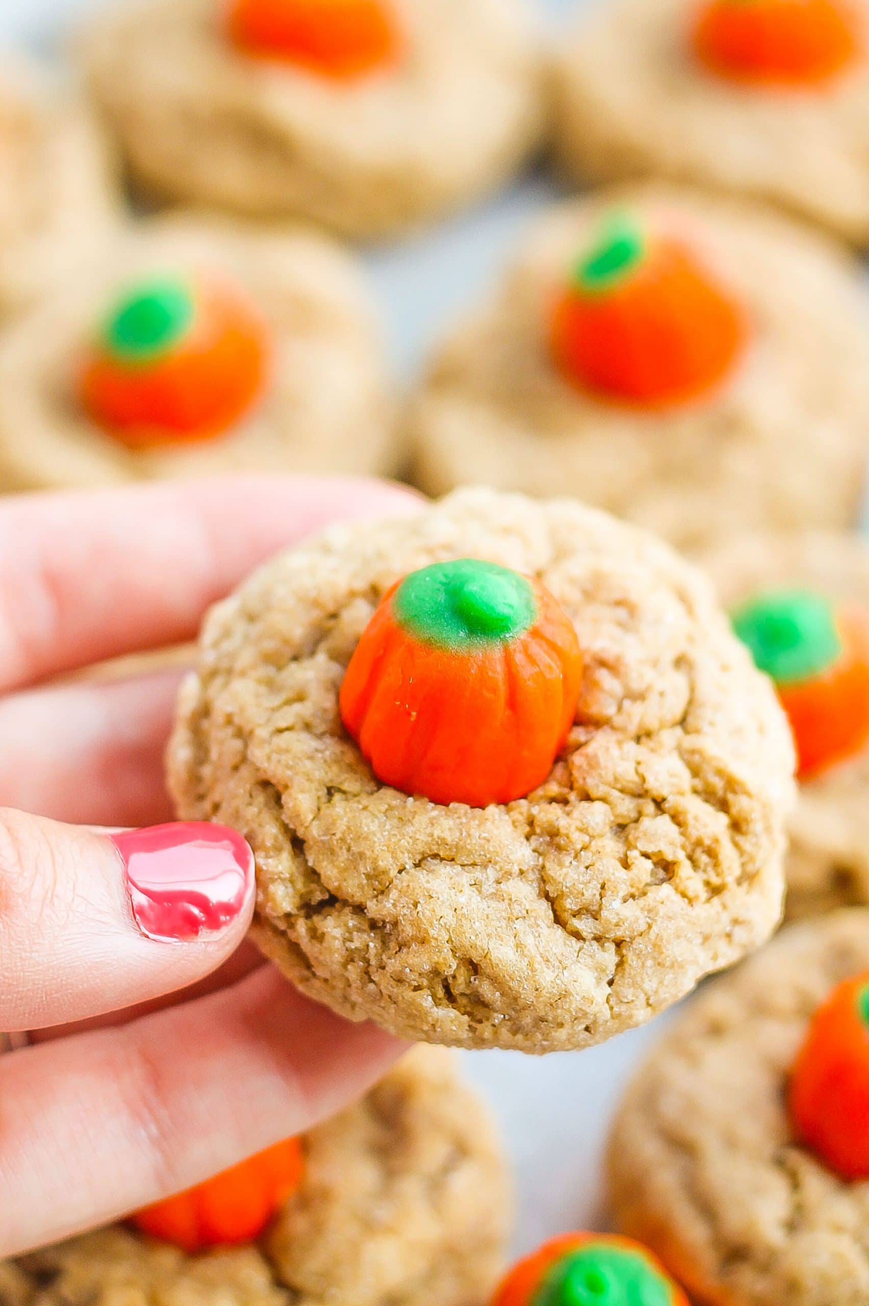 Hand holding spice cake mix cookie with pumpkin candy