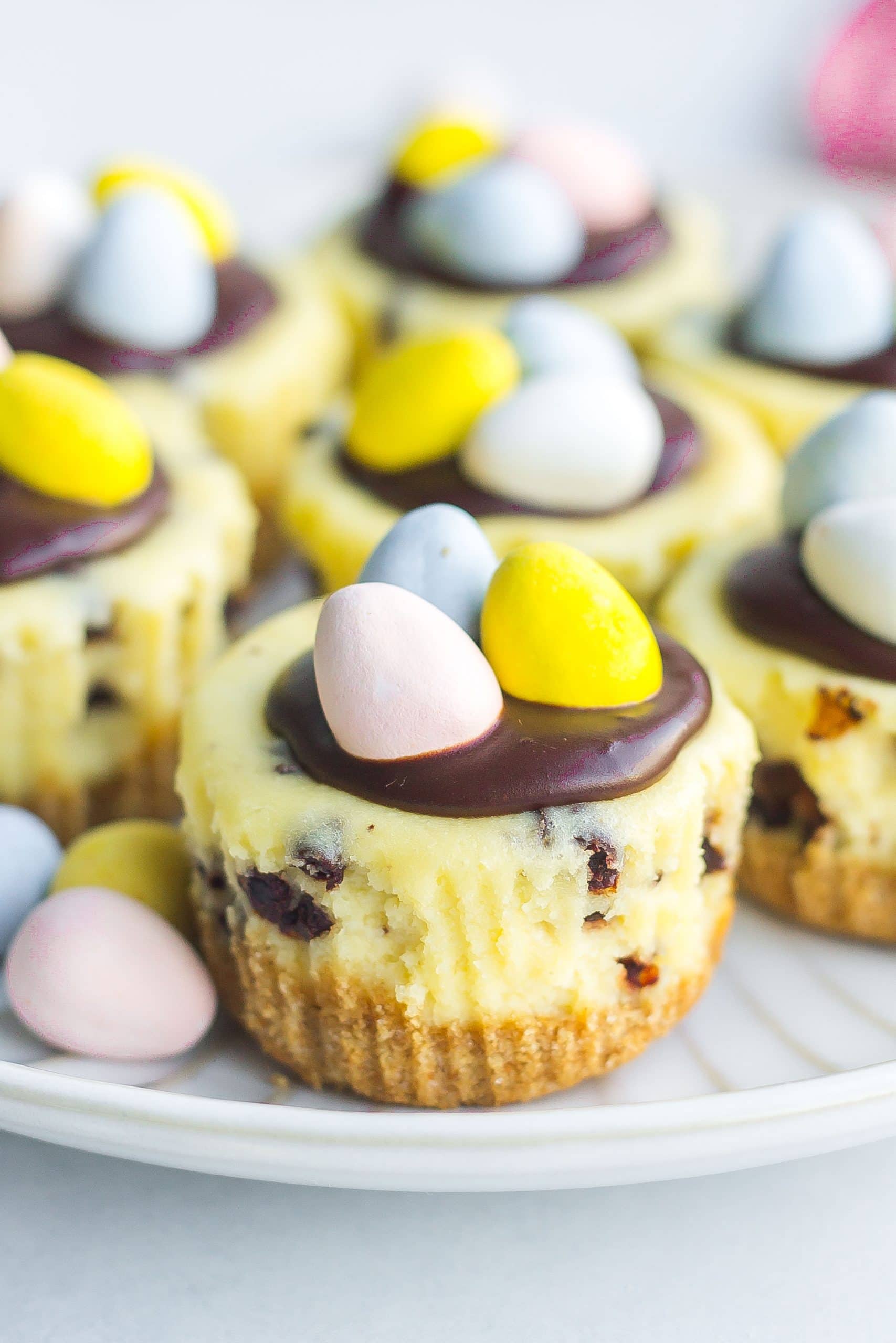 Mini Easter Chocolate Chip Cheesecakes on a white plate