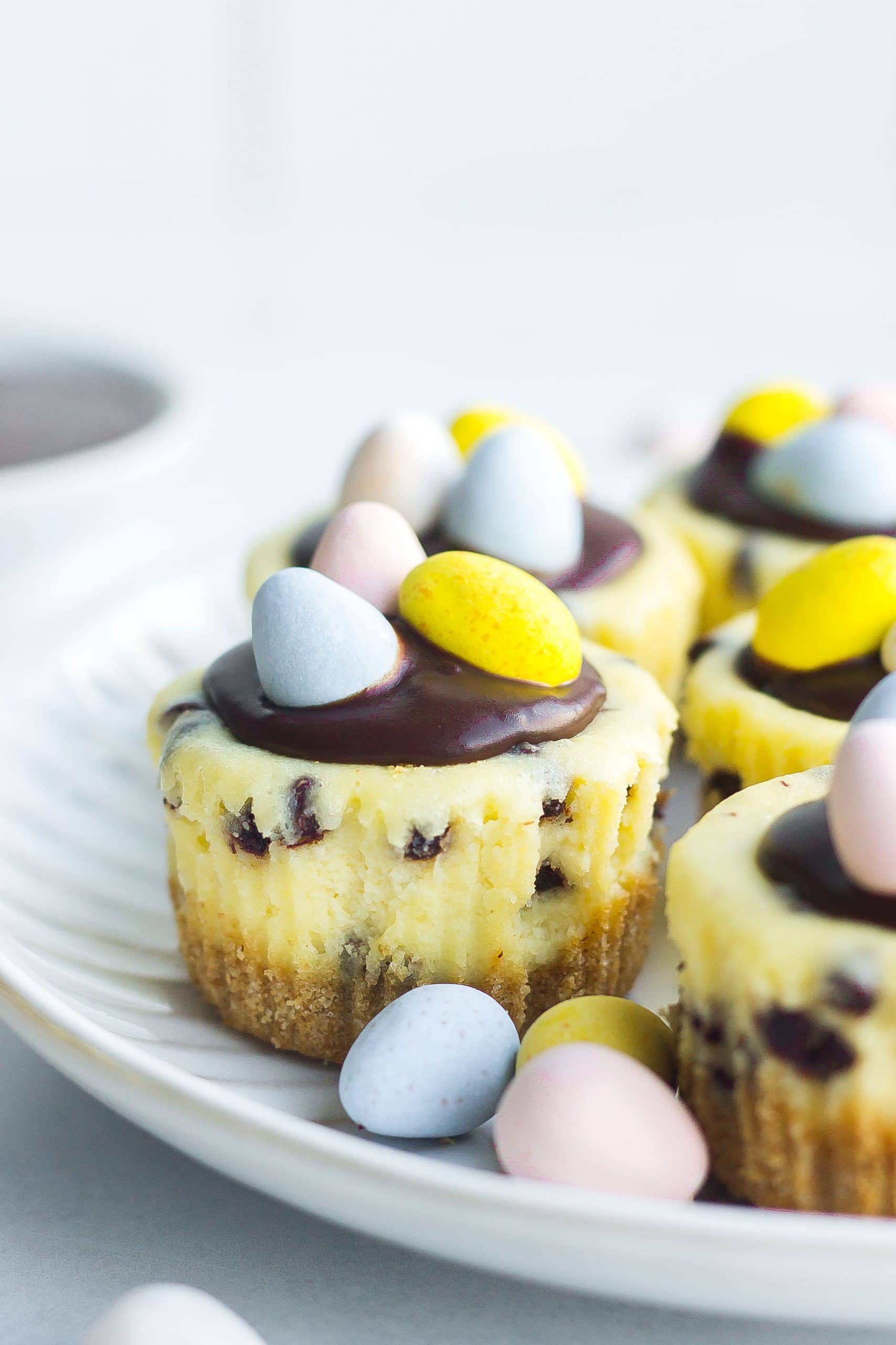 cheesecake bites on plate with chocolate eggs