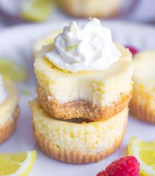 Lemon Cheesecake Bites-21