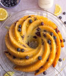 Lemon Blueberry Cake High Res-23