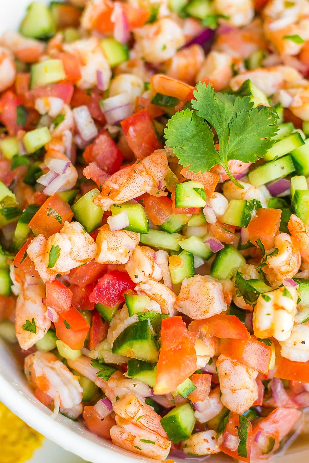 close up of shrimp ceviche garnished with cilantro