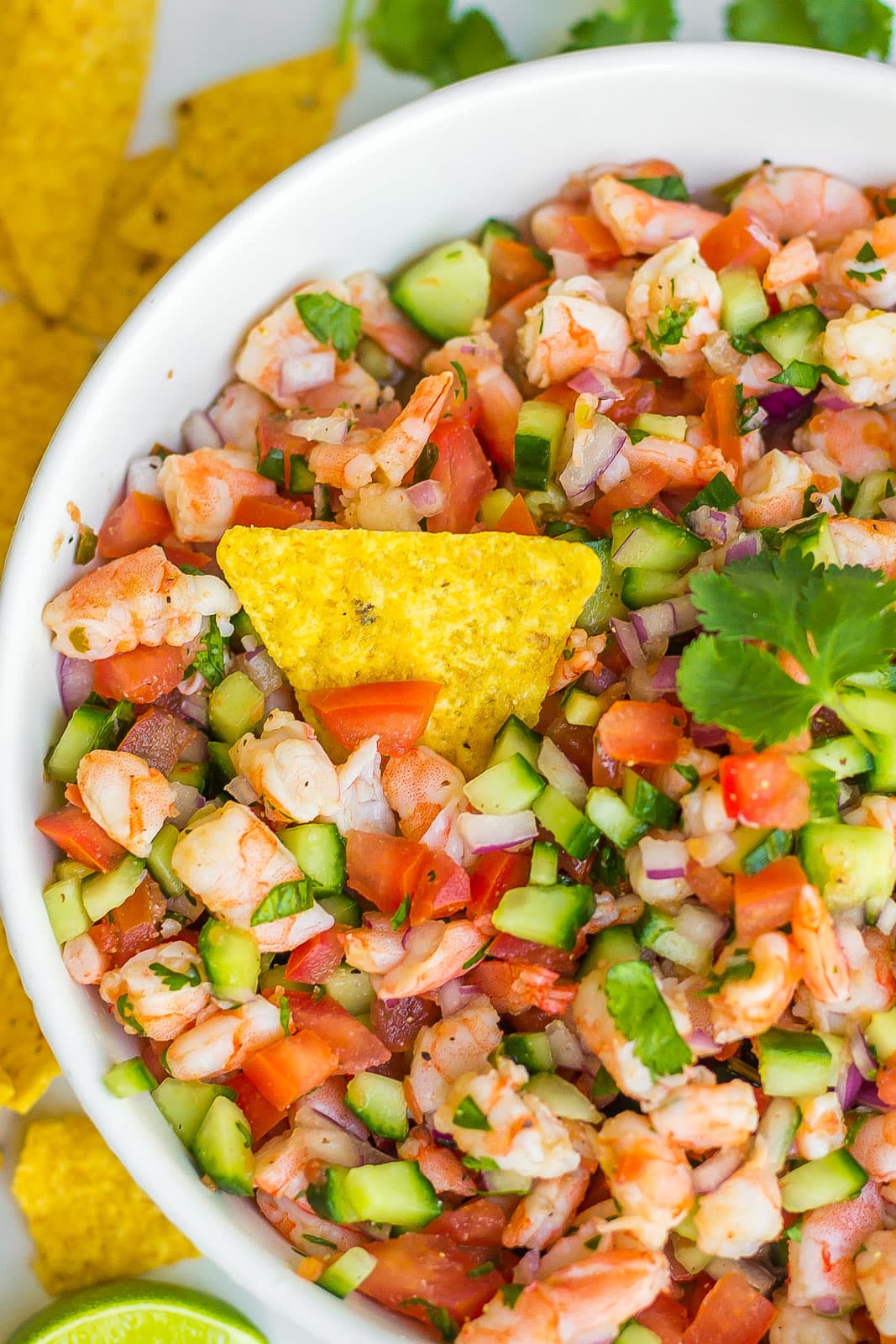 ceviche in a bowl with tortilla chip 