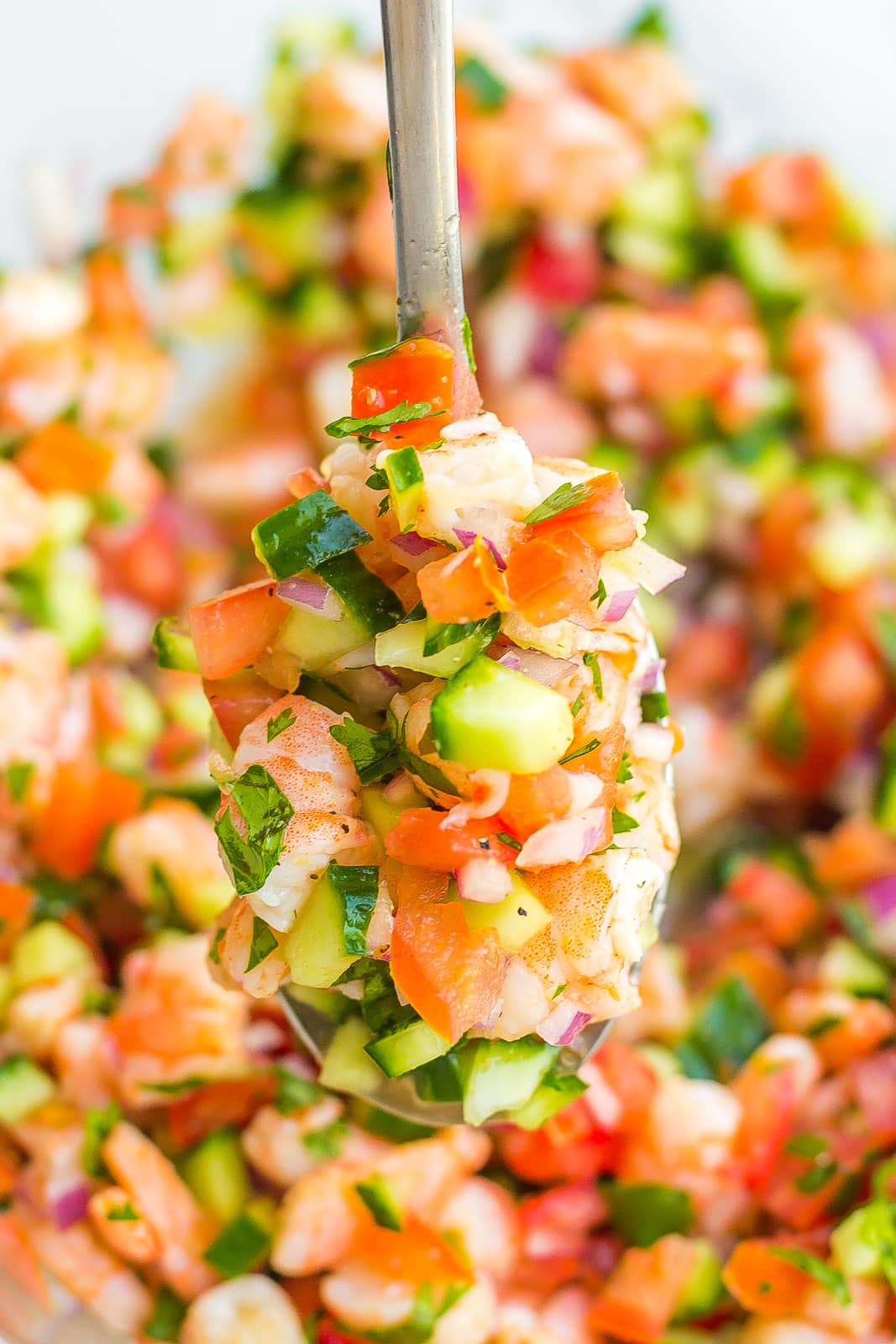 spoonful of shrimp ceviche