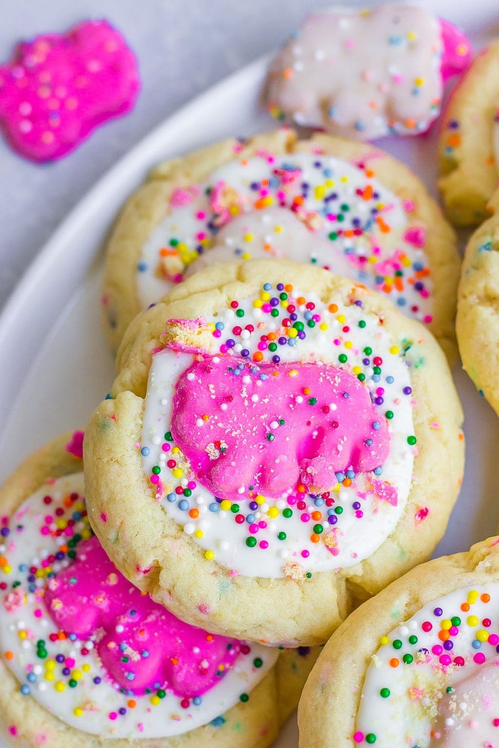 Circus Animal Sugar Cookies - Kathryn's Kitchen