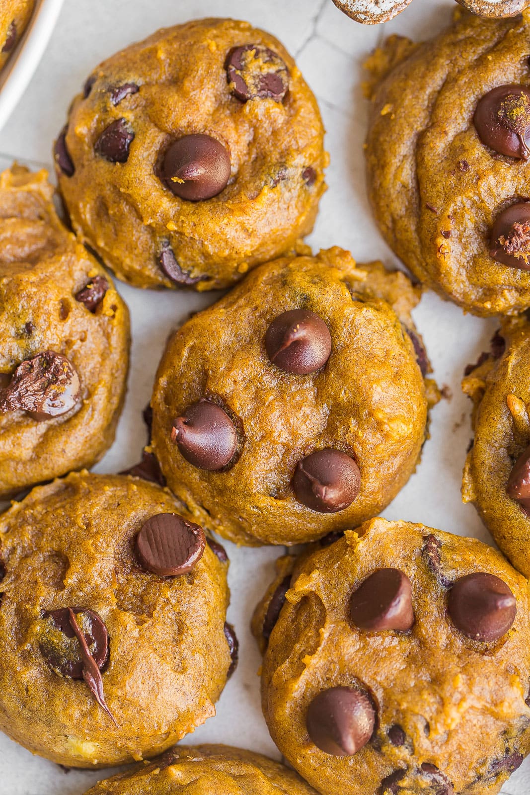 Close up of soft pumpkin chocolate chip cookies on a plate. 