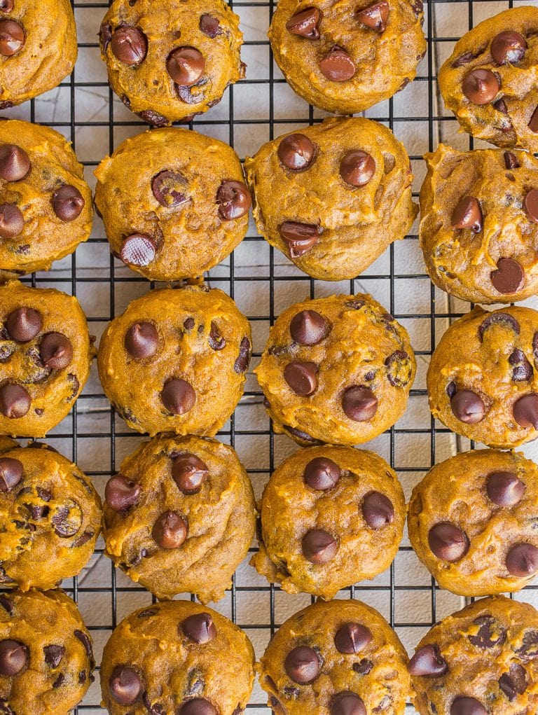 THE BEST Soft Pumpkin Chocolate Chip Cookies