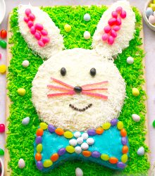Easter Bunny Cake High Res-19