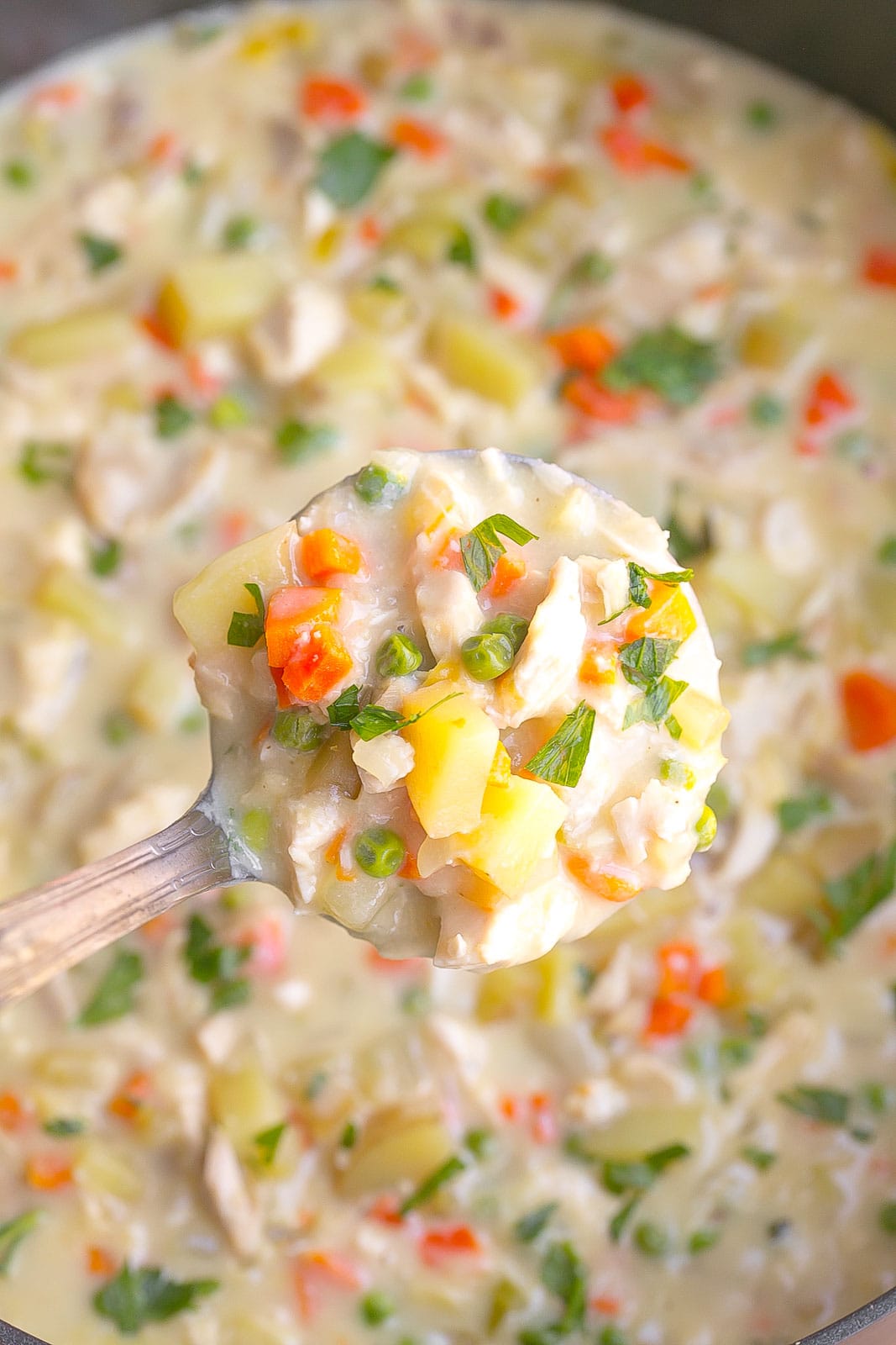 Spoonful of creamy soup.