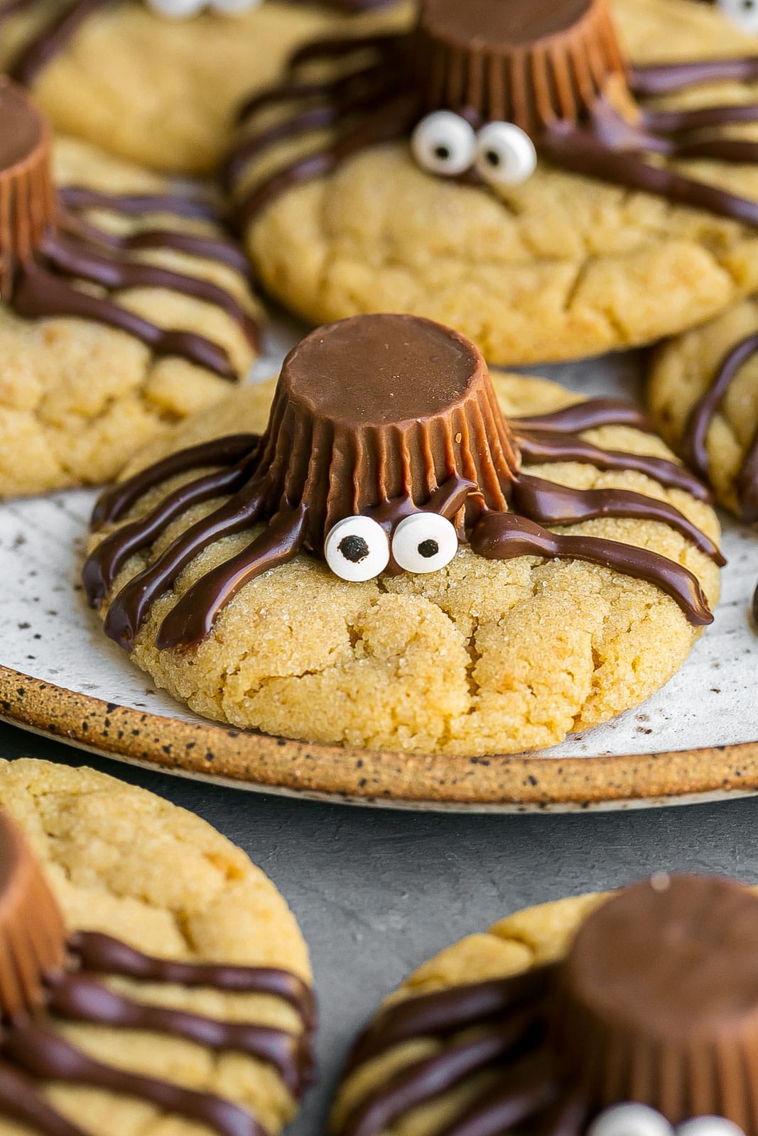Front view of a spider cookie.