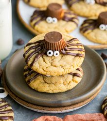 Spider Cookies-29