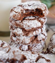 Chocolate Crinkle Cookies Set 1-17