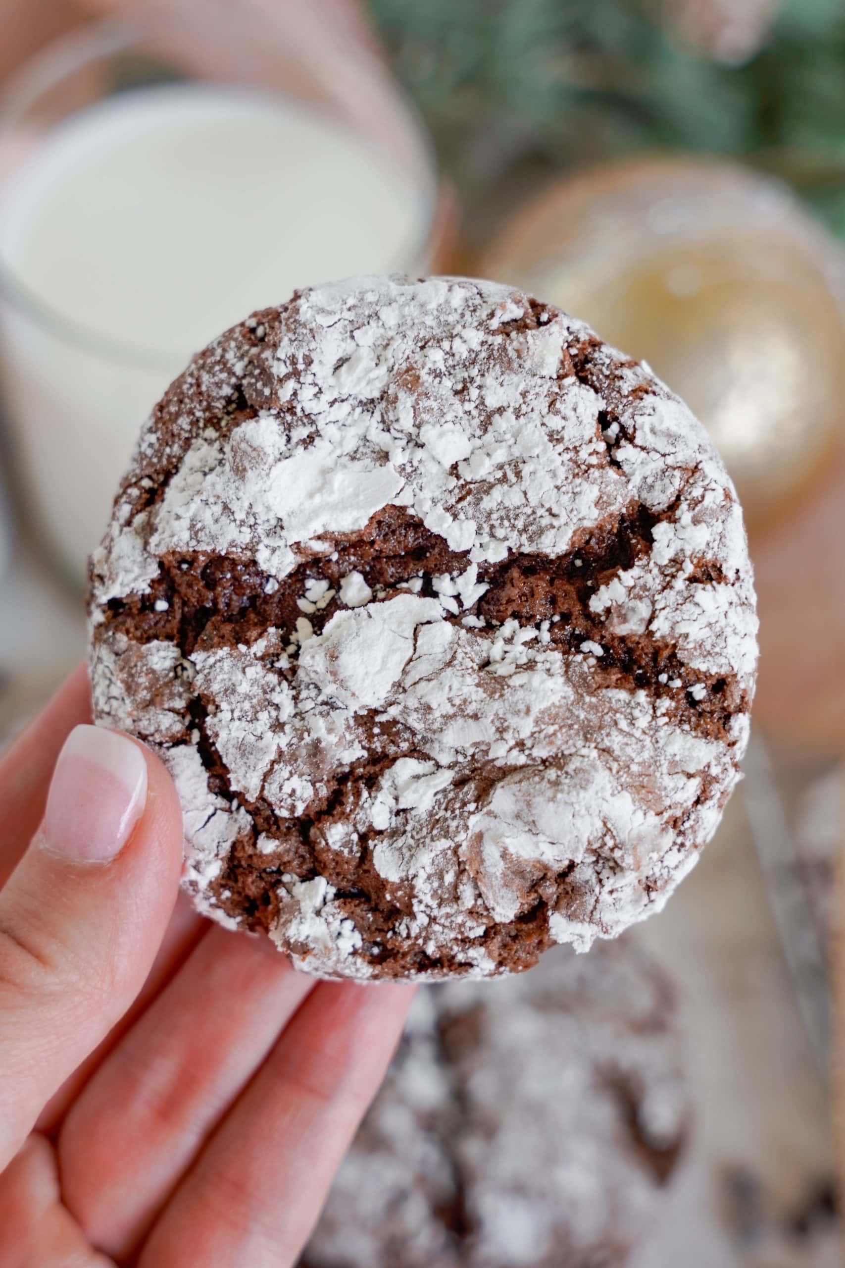 Hand holding a chocolate crinkle cookie.