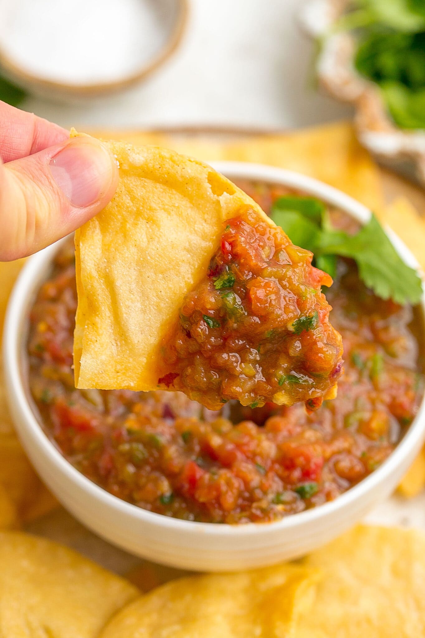 Quick Blender Salsa (5-Minute Recipe)