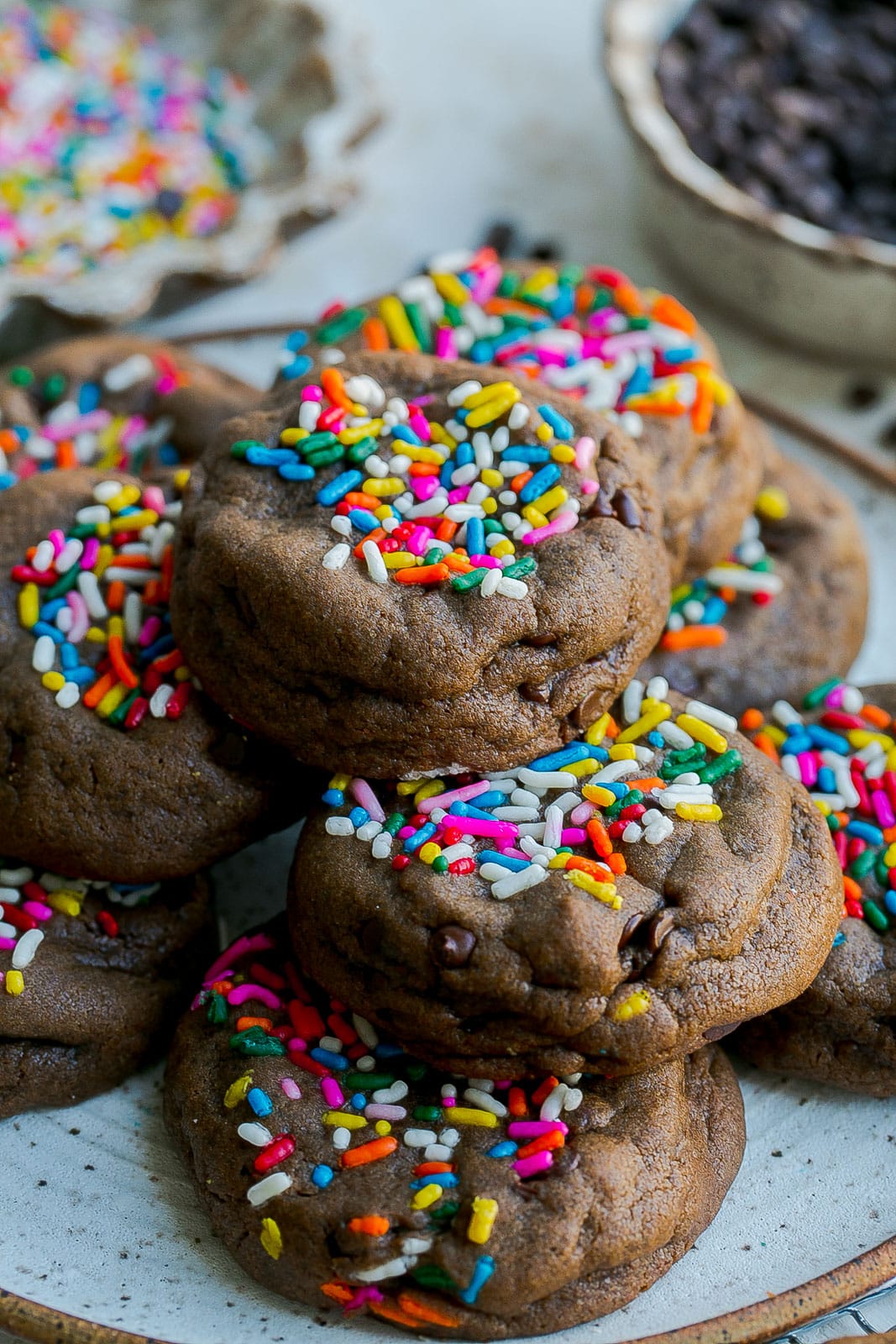 Plate of chocolate sprinkle cookies.