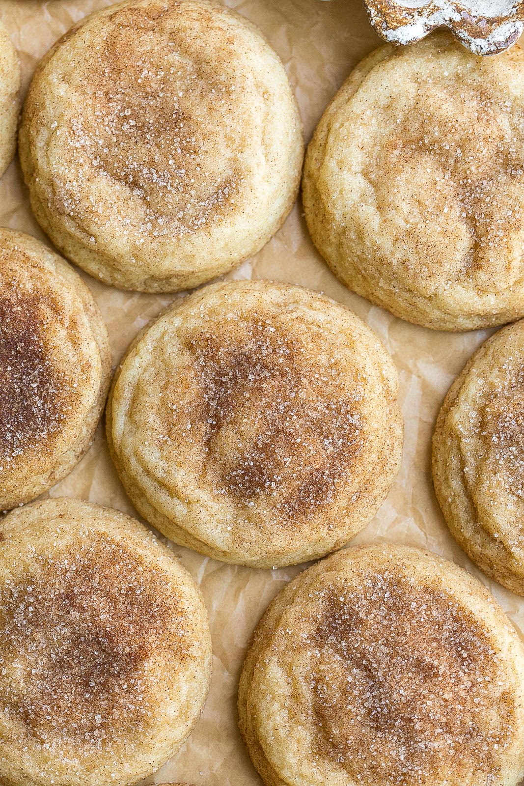 Close up of bakery style snickerdoodles.