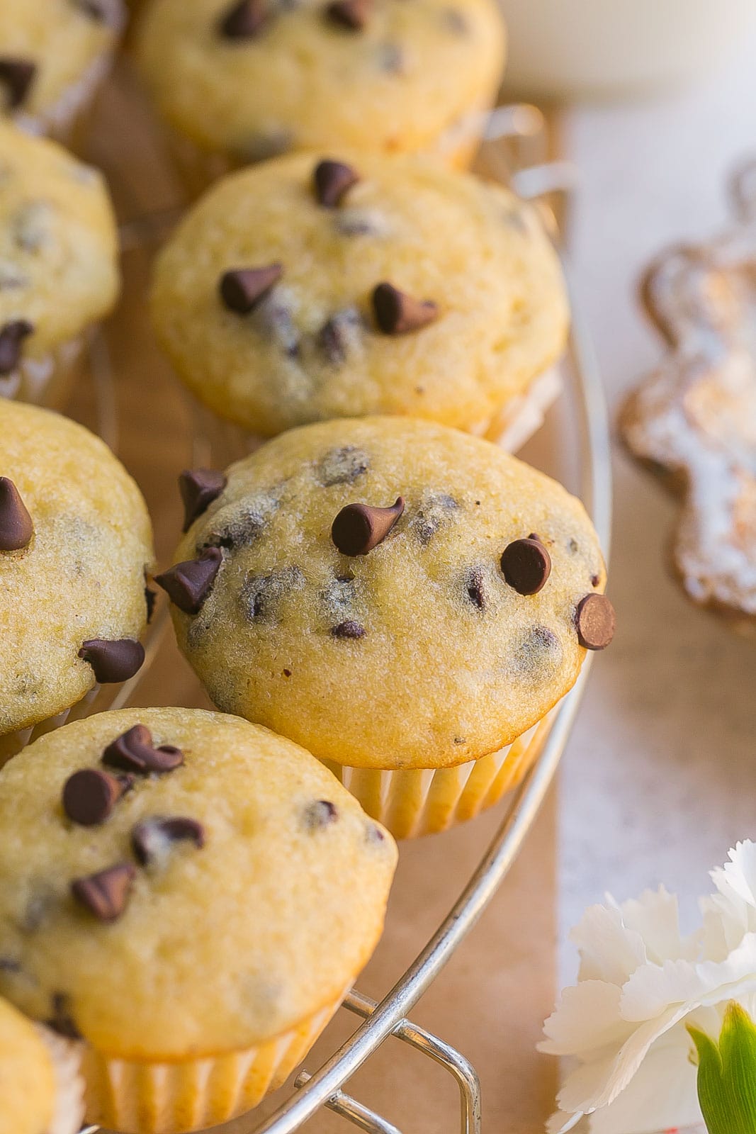 Close up of mini chocolate chip muffin.