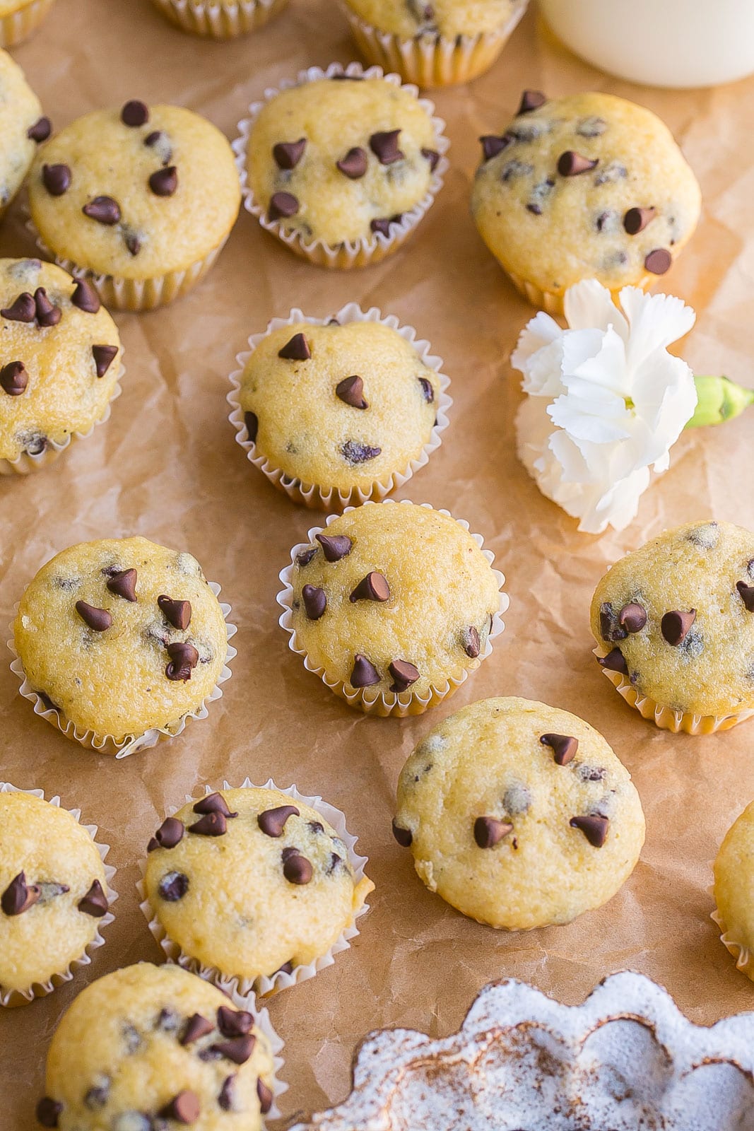 Chocolate chip mini muffins on parchment paper.