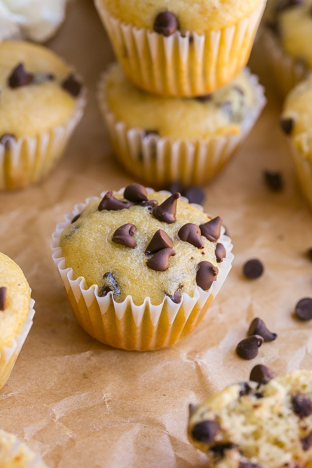 A single muffin with mini chocolate chips on top. 