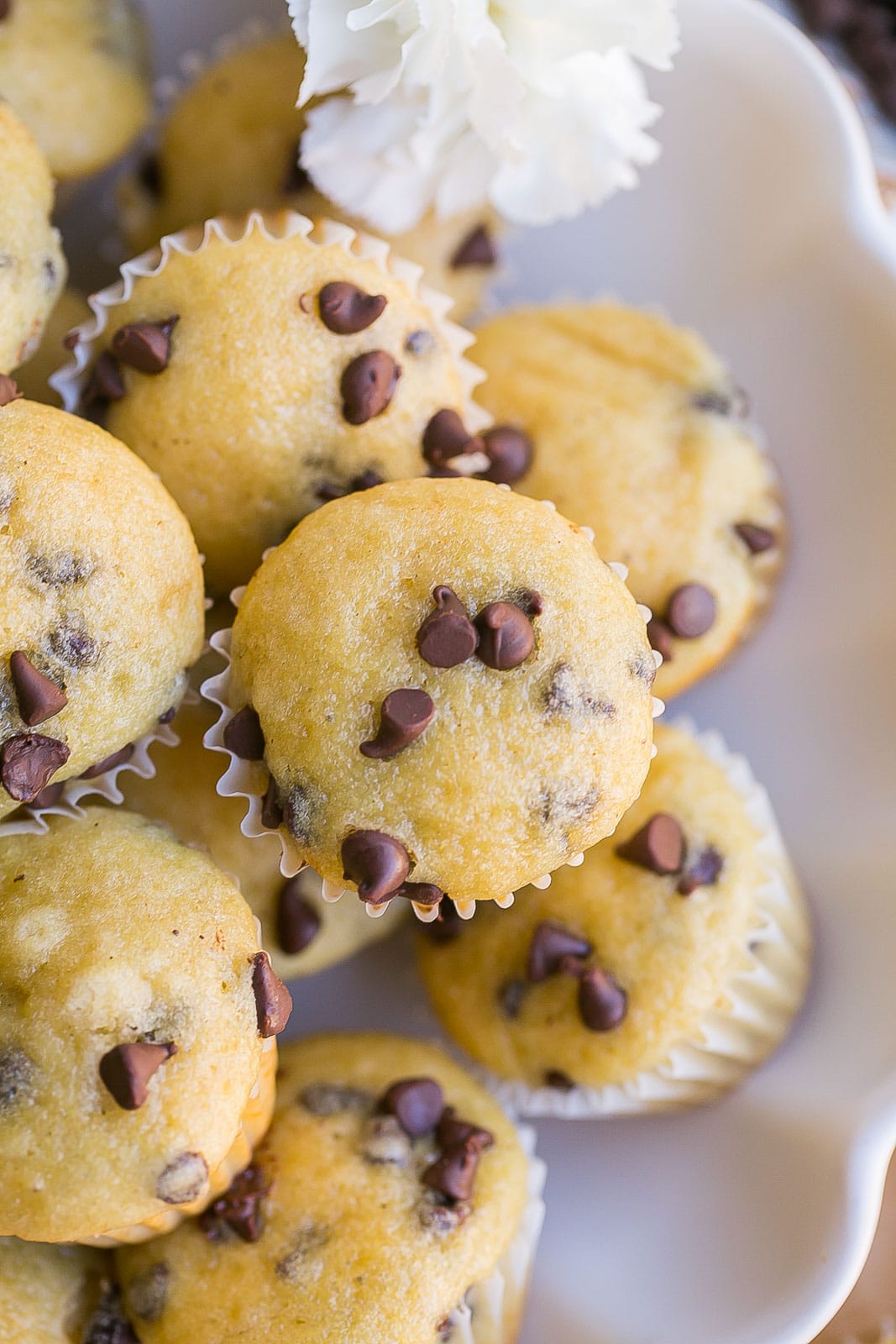 Birdseye view of mini chocolate chip muffin.