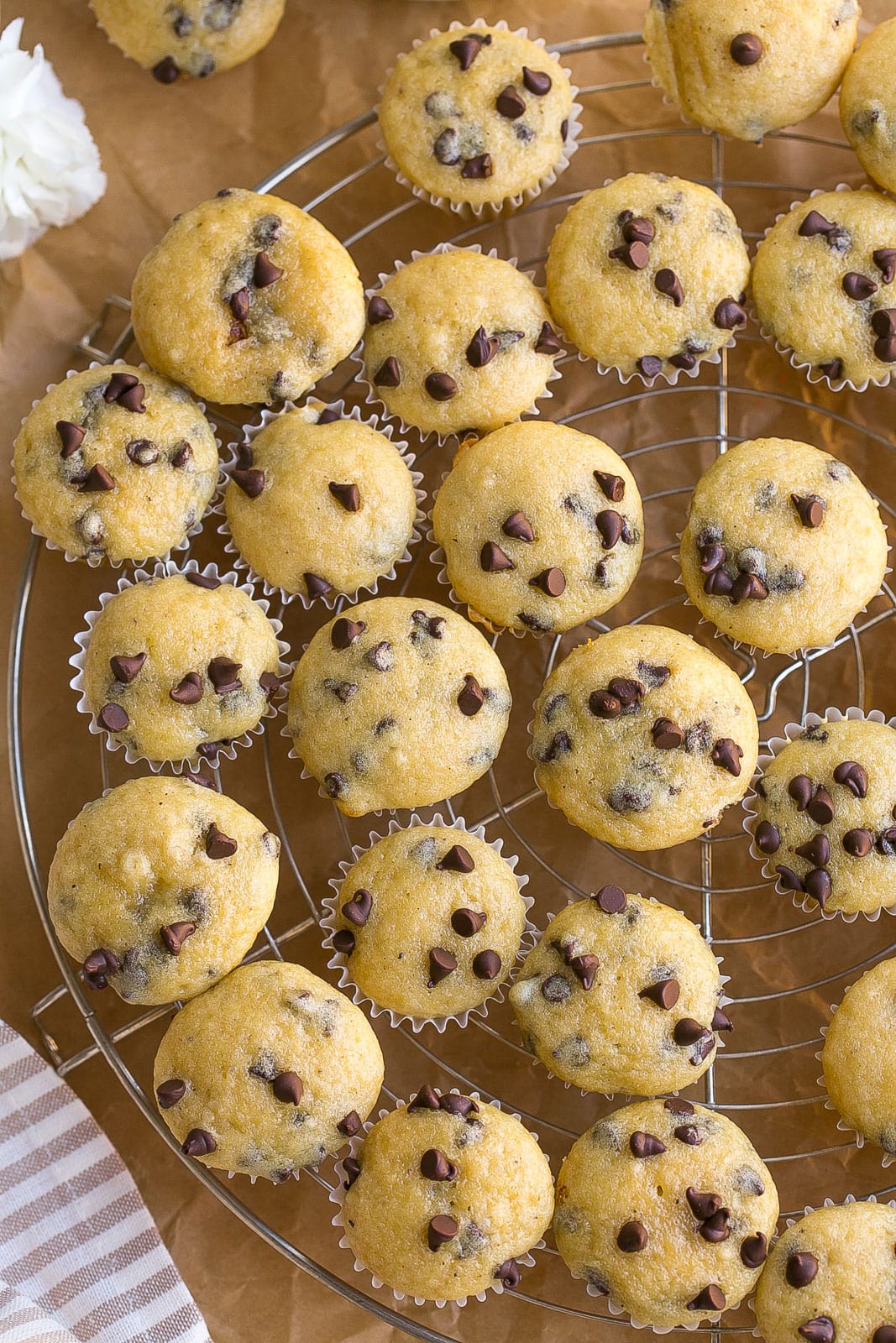 Cooling rack with mini chocolate chip muffins.