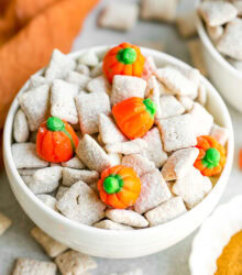 Pumpkin Spice Puppy Chow-43