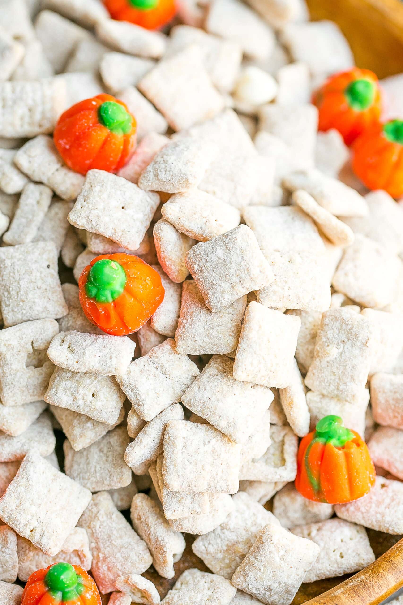 Close up of pumpkin puppy chow.