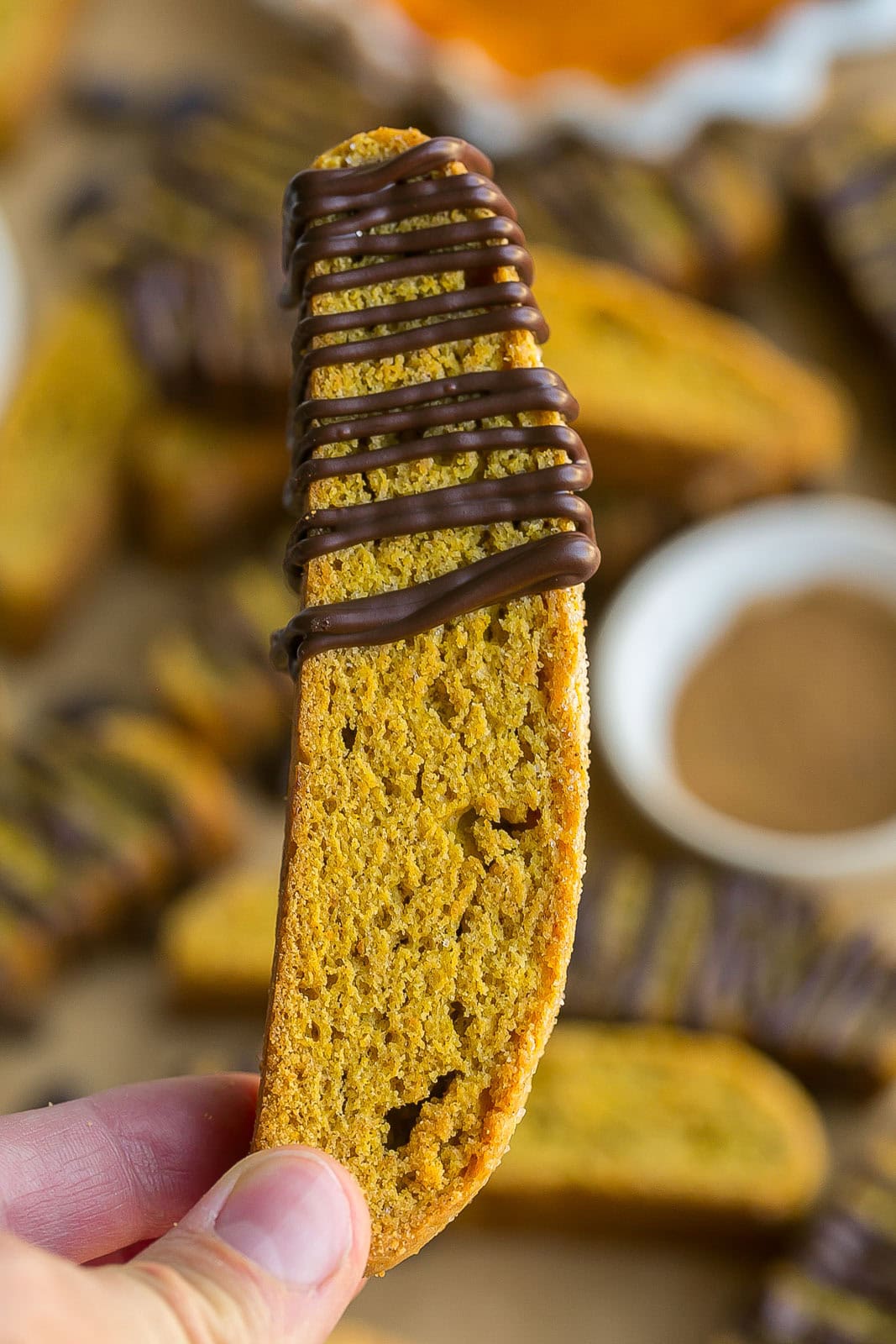 Hand holding a Pumpkin biscotti cookie.