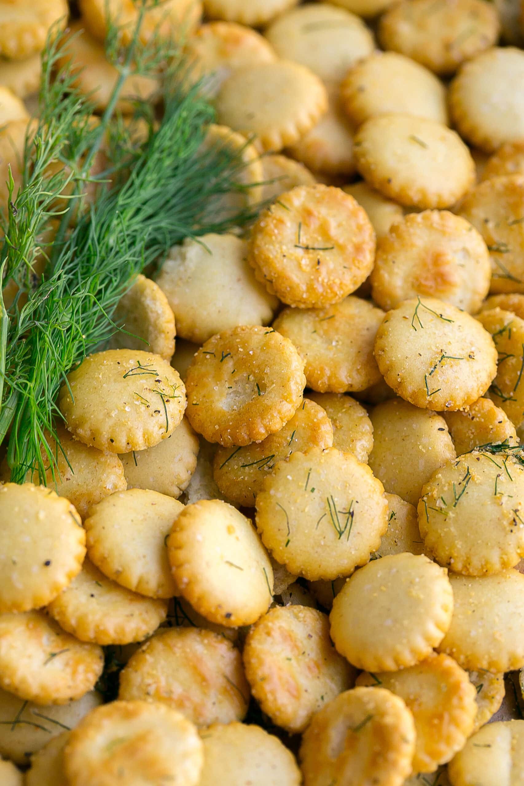 Close up of seasoned oyster crackers.