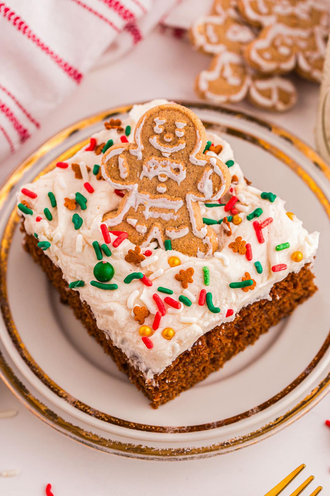 Square piece of gingerbread cake. 