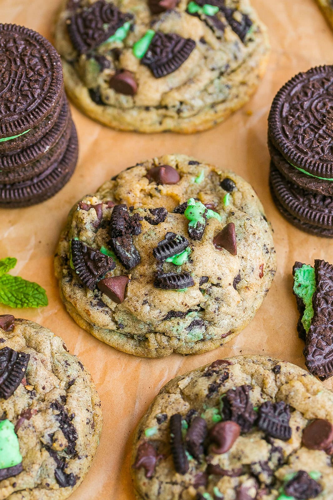 Close up of a Mint Oreo Cookie with fresh mint. 