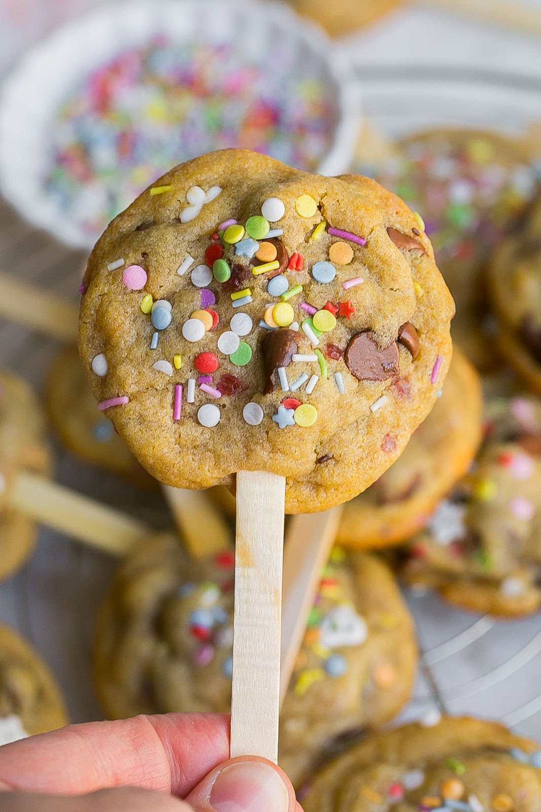 Close up of cookie on a stick.