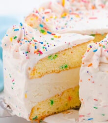 Funfetti Ice Cream Cake High Res-3