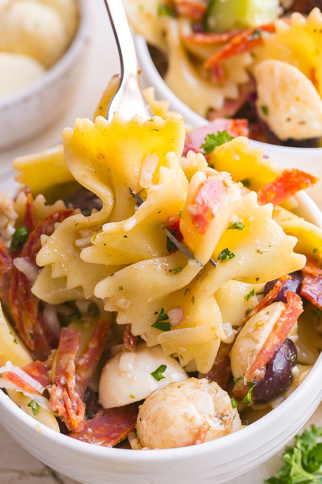 Spoonful of pasta salad.