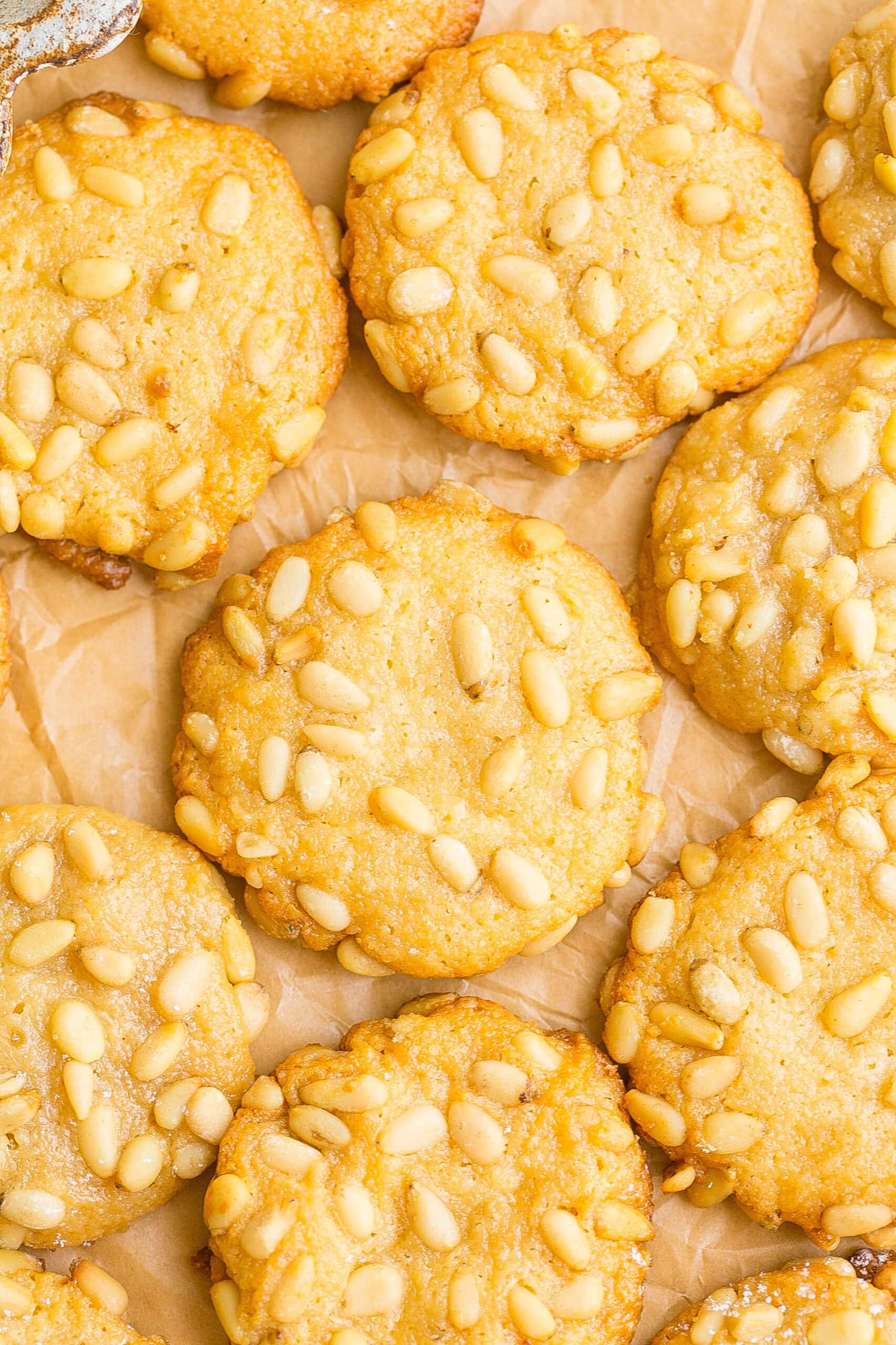 Close up of Almond Paste Cookies without powdered sugar.