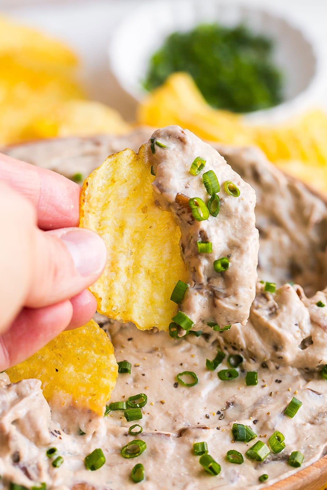 Caramelized onion dip with sour cream on a wavy potato chip.
